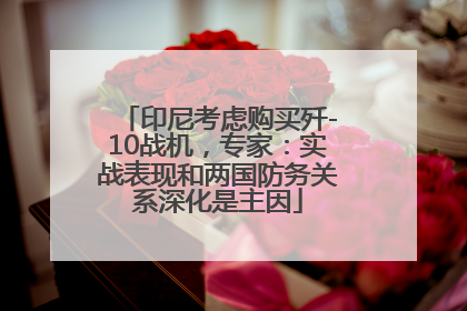 印尼考虑购买歼-10战机，专家：实战表现和两国防务关系深化是主因