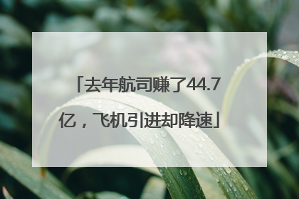 去年航司赚了44.7亿，飞机引进却降速