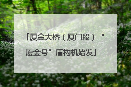 厦金大桥（厦门段）“厦金号”盾构机始发