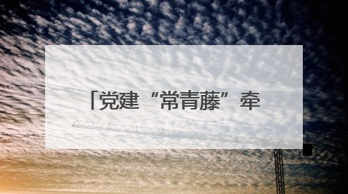 党建“常青藤”牵起百姓幸福线——桦南县秀北社区创新基层治理纪实
