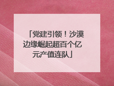 党建引领！沙漠边缘崛起超百个亿元产值连队