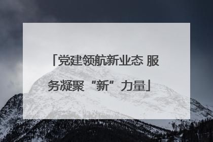 党建领航新业态 服务凝聚“新”力量