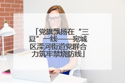 党旗飘扬在“三夏”一线——宛城区溧河街道党群合力筑牢禁烧防线