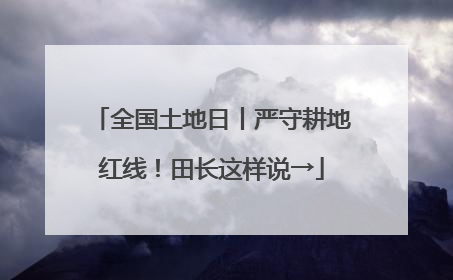 全国土地日丨严守耕地红线！田长这样说→