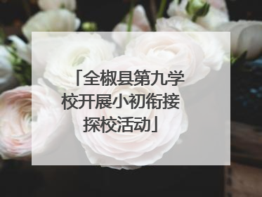 全椒县第九学校开展小初衔接探校活动