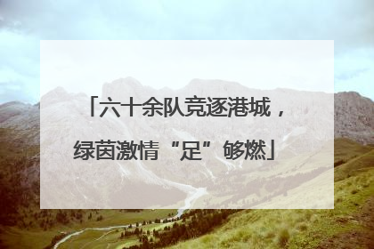 六十余队竞逐港城，绿茵激情“足”够燃