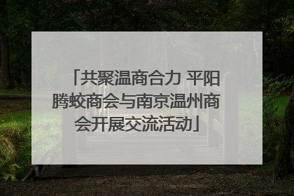 共聚温商合力 平阳腾蛟商会与南京温州商会开展交流活动