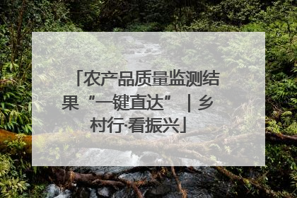 农产品质量监测结果“一键直达”｜乡村行·看振兴