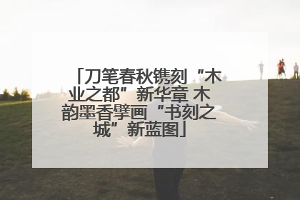 刀笔春秋镌刻“木业之都”新华章 木韵墨香擘画“书刻之城”新蓝图