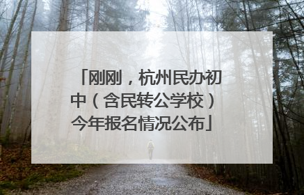 刚刚，杭州民办初中（含民转公学校）今年报名情况公布