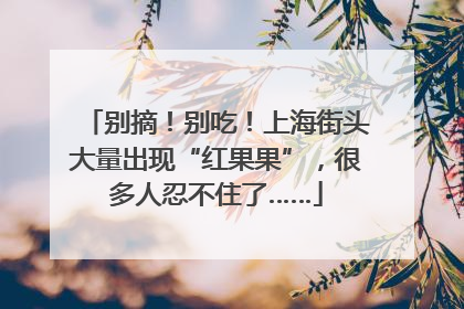 别摘！别吃！上海街头大量出现“红果果”，很多人忍不住了……