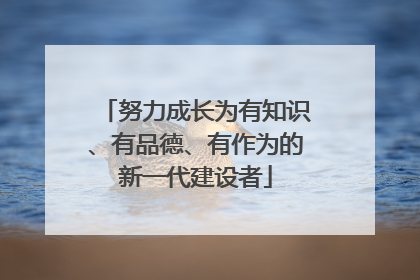 努力成长为有知识、有品德、有作为的新一代建设者