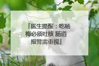 医生提醒：吃杨梅必须吐核 肠道报警需重视