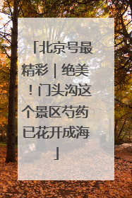 北京号最精彩｜绝美！门头沟这个景区芍药已花开成海