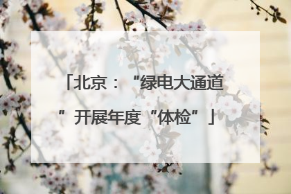 北京：“绿电大通道”开展年度“体检”