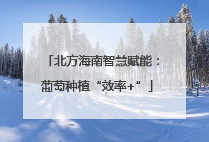 北方海南智慧赋能：葡萄种植“效率+”