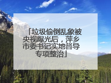 垃圾偷倒乱象被央视曝光后，萍乡市委书记实地督导专项整治