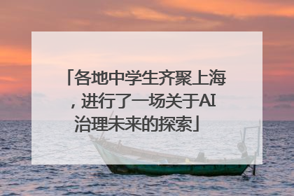 各地中学生齐聚上海，进行了一场关于AI治理未来的探索
