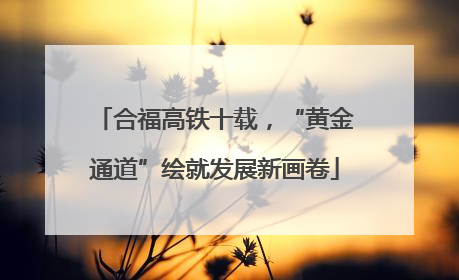 合福高铁十载，“黄金通道”绘就发展新画卷