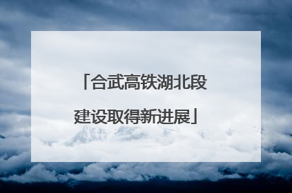 合武高铁湖北段建设取得新进展