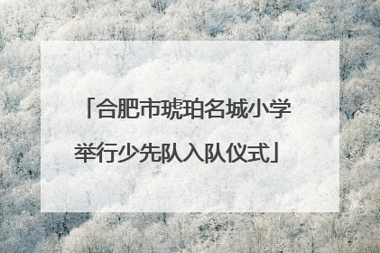 合肥市琥珀名城小学举行少先队入队仪式
