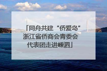 同舟共建“侨爱岛” 浙江省侨商会青委会代表团走进嵊泗