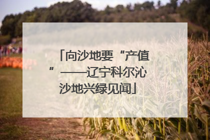 向沙地要“产值”——辽宁科尔沁沙地兴绿见闻