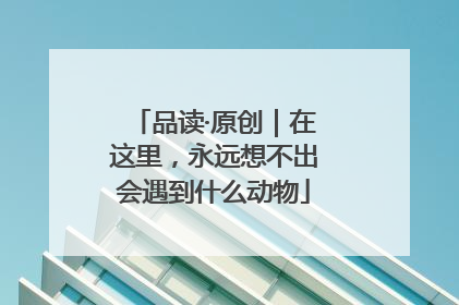 品读·原创｜在这里，永远想不出会遇到什么动物