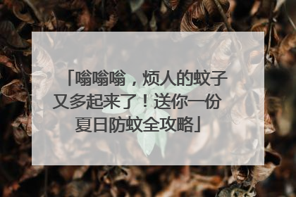 嗡嗡嗡，烦人的蚊子又多起来了！送你一份夏日防蚊全攻略