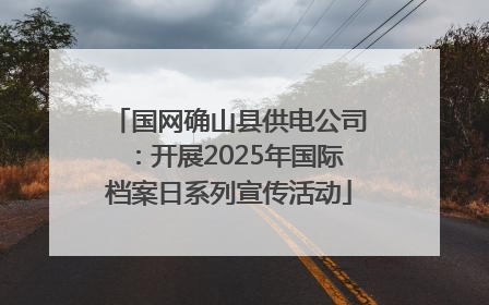 国网确山县供电公司：开展2025年国际档案日系列宣传活动
