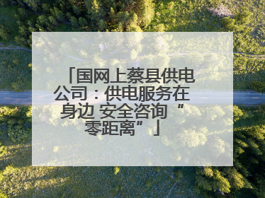 国网上蔡县供电公司：供电服务在身边 安全咨询“零距离”