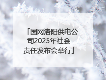 国网洛阳供电公司2025年社会责任发布会举行