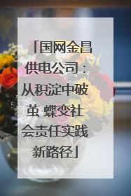 国网金昌供电公司：从积淀中破茧 蝶变社会责任实践新路径