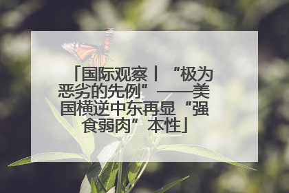 国际观察丨“极为恶劣的先例”——美国横逆中东再显“强食弱肉”本性