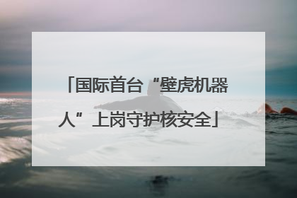 国际首台“壁虎机器人”上岗守护核安全