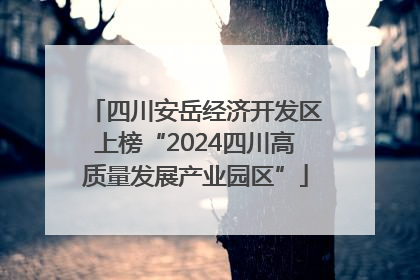 四川安岳经济开发区上榜“2024四川高质量发展产业园区”