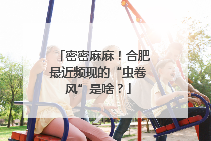 密密麻麻！合肥最近频现的“虫卷风”是啥？