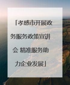 孝感市开展政务服务政策宣讲会 精准服务助力企业发展