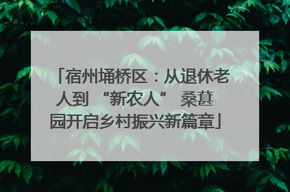宿州埇桥区：从退休老人到 “新农人” 桑葚园开启乡村振兴新篇章