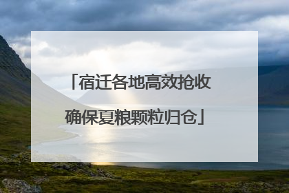 宿迁各地高效抢收 确保夏粮颗粒归仓