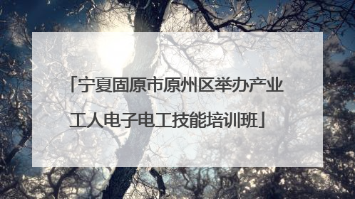 宁夏固原市原州区举办产业工人电子电工技能培训班