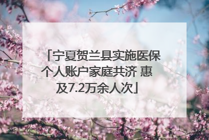宁夏贺兰县实施医保个人账户家庭共济 惠及7.2万余人次