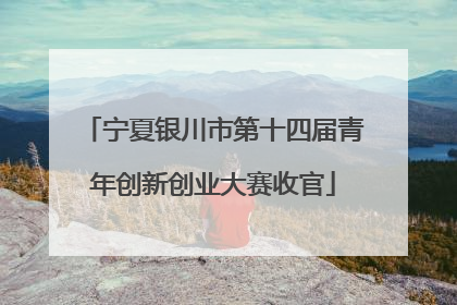 宁夏银川市第十四届青年创新创业大赛收官