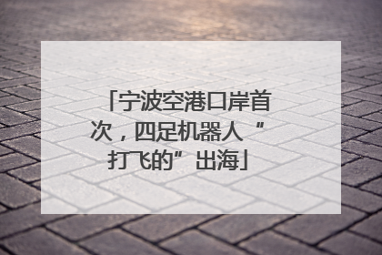 宁波空港口岸首次，四足机器人“打飞的”出海