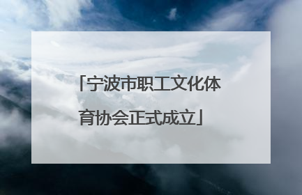 宁波市职工文化体育协会正式成立