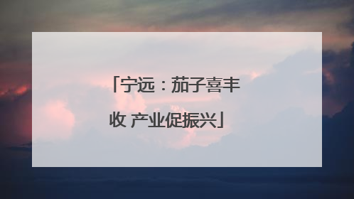 宁远：茄子喜丰收 产业促振兴