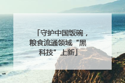 守护中国饭碗，粮食流通领域“黑科技”上新