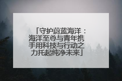 守护蔚蓝海洋：海洋至尊与青年携手用科技与行动之力托起纯净未来