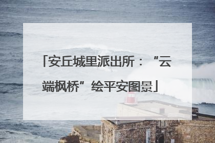 安丘城里派出所：“云端枫桥”绘平安图景