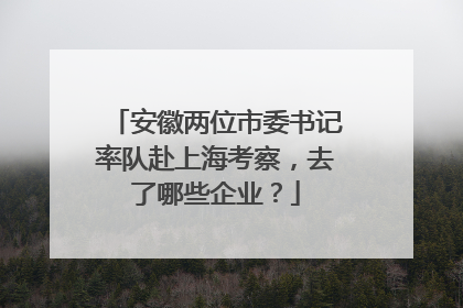 安徽两位市委书记率队赴上海考察，去了哪些企业？